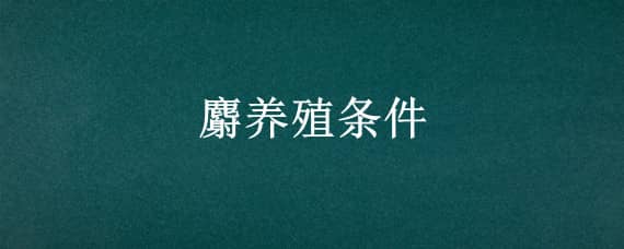 麝养殖条件 麝的养殖技术