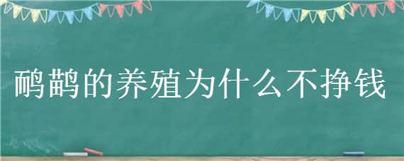 鸸鹋的养殖为什么不挣钱 鸸鹋好养殖吗