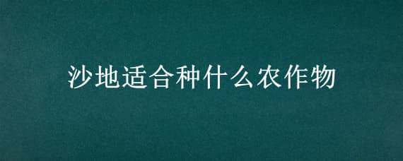 沙地适合种什么农作物（沙土地适合种什么农作物）