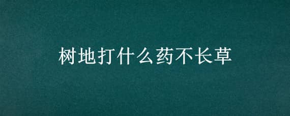 树地打什么药不长草 打什么药地里不长草