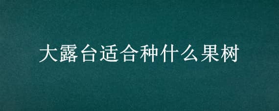 大露台适合种什么果树（大露台适合种什么果树和花）