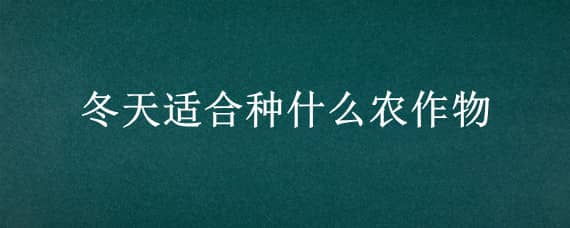 冬天适合种什么农作物