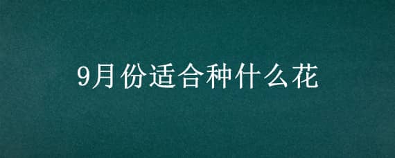 9月份适合种什么花（9月份适合种什么花生）