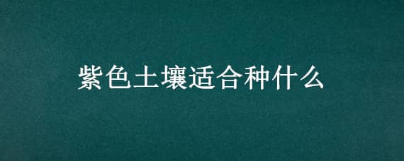 紫色土壤适合种什么