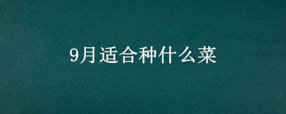 9月适合种什么菜