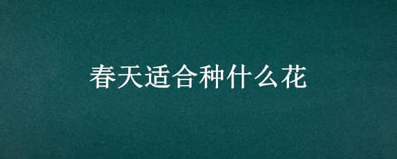 春天适合种什么花（春天适合种什么花草树木）