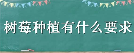 树莓种植有什么要求 树莓种植有什么要求吗