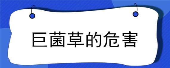 巨菌草的危害 巨菌草的危害与防治