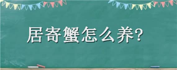 居寄蟹怎么养? 寄居蟹怎么养视频