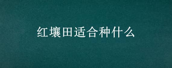 红壤田适合种什么