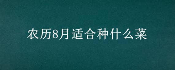 农历8月适合种什么菜（农历8月份种什么菜合适）