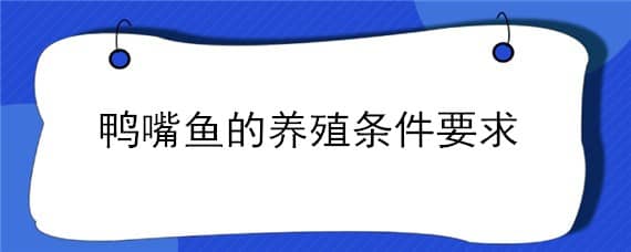 鸭嘴鱼的养殖条件要求（鸭嘴鱼的养殖条件要求是什么）