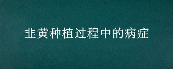 韭黄种植过程中的病症 韭黄是植物病害吗