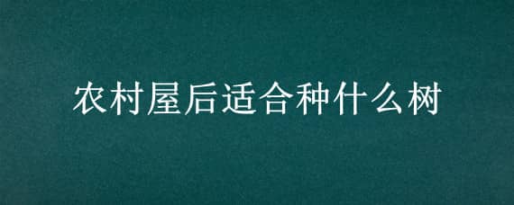 农村屋后适合种什么树（农村屋前适合种什么树）