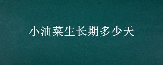 小油菜生长期多少天（小油菜生长期多少天可以吃）