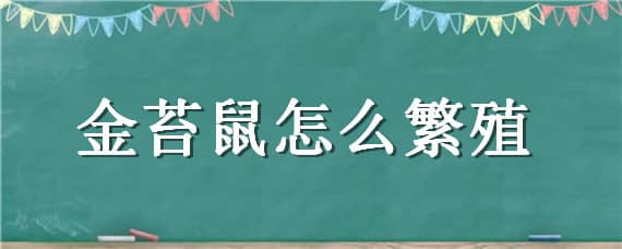 金苔鼠怎么繁殖