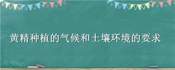 黄精种植的气候和土壤环境的要求 黄精种植气候条件