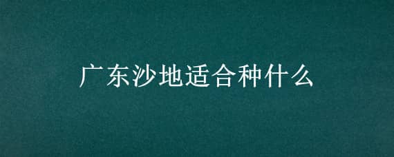 广东沙地适合种什么