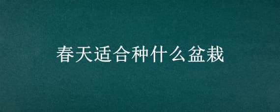 春天适合种什么盆栽