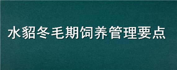 水貂冬毛期饲养管理要点（水貂饲养周期）