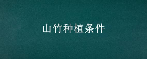 山竹种植条件 山竹种植条件气温