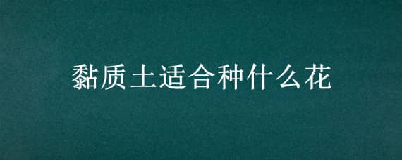 黏质土适合种什么花 黏质土适合种什么植物