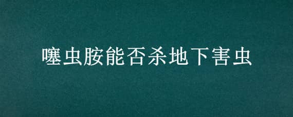 噻虫胺能否杀地下害虫（噻虫胺能杀地下害虫吗）