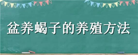 盆养蝎子的养殖方法 蝎子盆养视频初次养