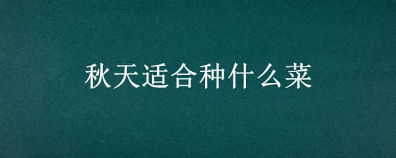 秋天适合种什么菜 山东秋天适合种什么菜