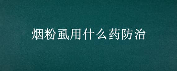 烟粉虱用什么药防治（烟粉虱的危害及防治方法）