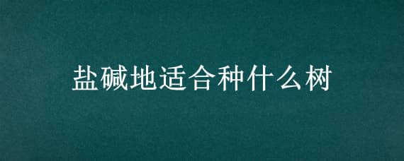 盐碱地适合种什么树（盐碱地适合种啥树）