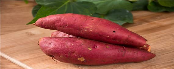 红薯种植起垄方式的原因 红薯种植前期如何整地起垄