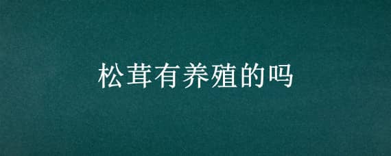 松茸有养殖的吗 松茸有家养的吗