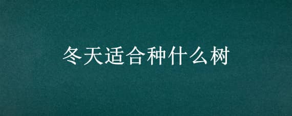 冬天适合种什么树