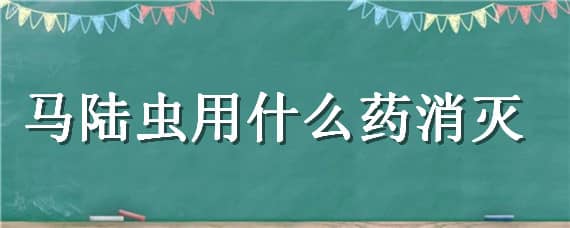 马陆虫用什么药消灭（马陆虫如何消灭）