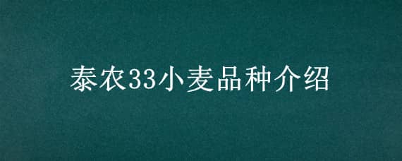 泰农33小麦品种介绍