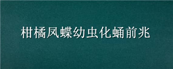 柑橘凤蝶幼虫化蛹前兆（柑橘凤蝶幼虫化蛹前兆图片）