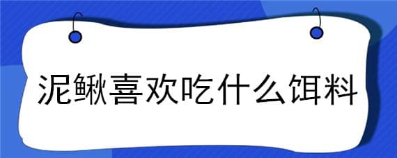 泥鳅喜欢吃什么饵料（泥鳅喜欢吃什么饵料呢）