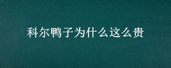 科尔鸭子为什么这么贵（价值上万的柯尔鸭）