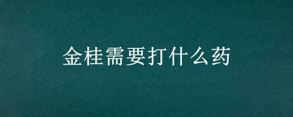 金桂需要打什么药（金桂花有什么药用价值）