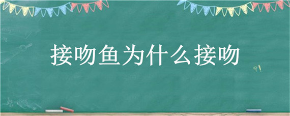 接吻鱼为什么接吻（接吻鱼为什么不会接吻）