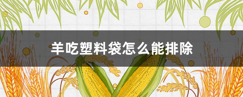 羊吃塑料袋怎么能排除