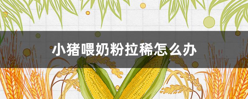 小猪喂奶粉拉稀怎么办