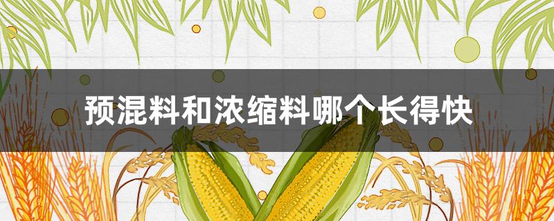 预混料和浓缩料哪个长得快