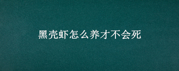 黑壳虾怎么养才不会死（黑壳虾容易死吗）