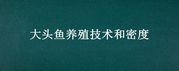 大头鱼养殖技术和密度 大头鱼养殖温度