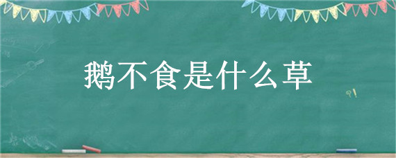 鹅不食是什么草（什么叫鹅不食草）