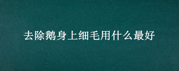 去除鹅身上细毛用什么最好 怎样去除大鹅身上绒毛