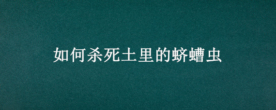 如何杀死土里的蛴螬虫 怎样杀灭土里的虫子