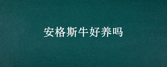 安格斯牛好养吗 安格斯牛好养吗?